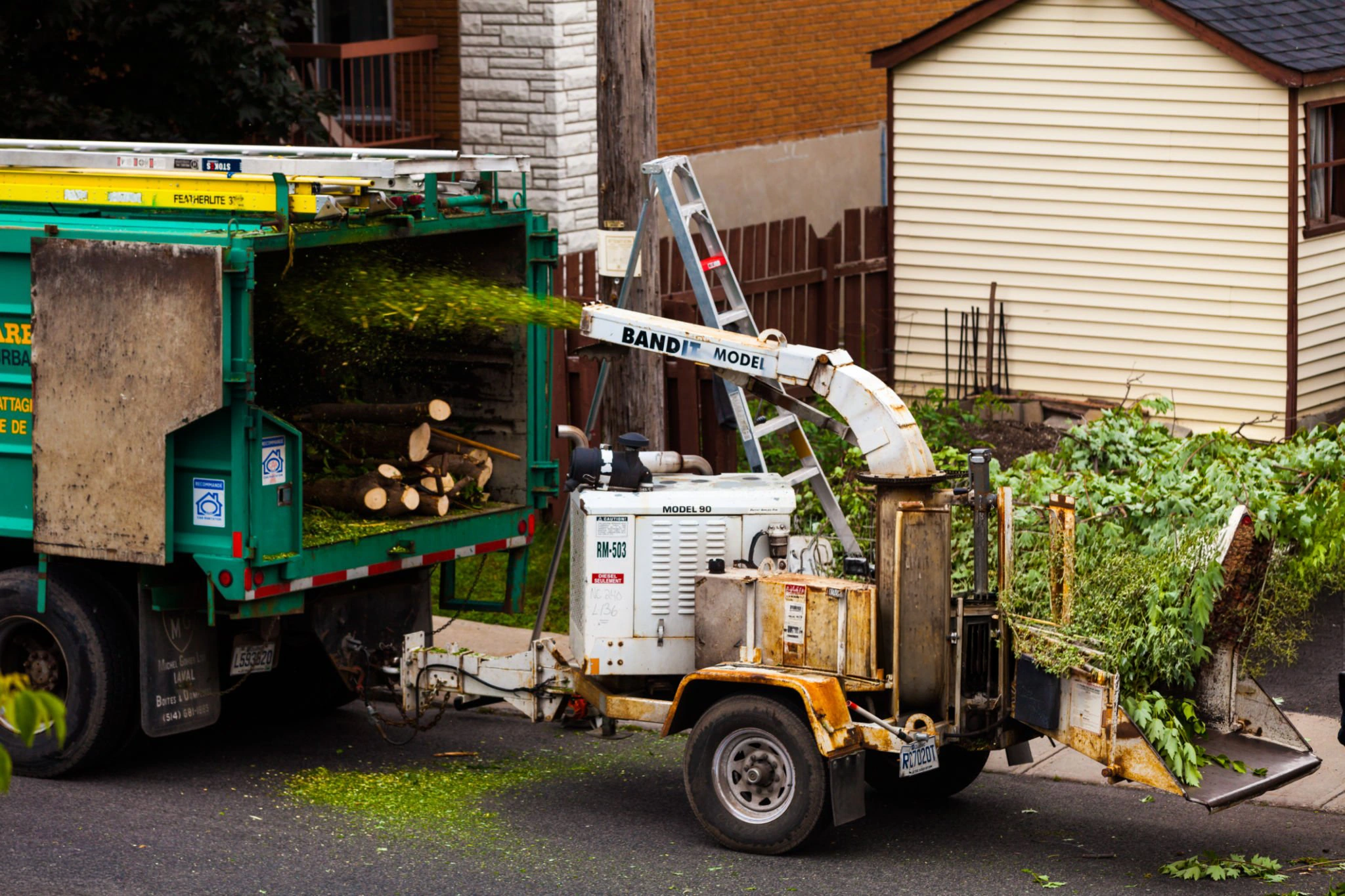 Property review and project planning for tree service Hartford CT